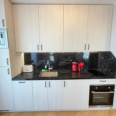 Osaka Cozy 1bdr Near Iec And Airport W Paid Parking Apartment Sofia